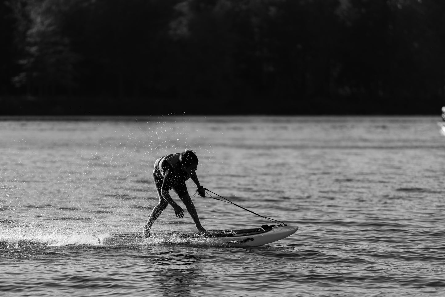 Série EZY : La planche de surf électrique parfaite pour le chalet