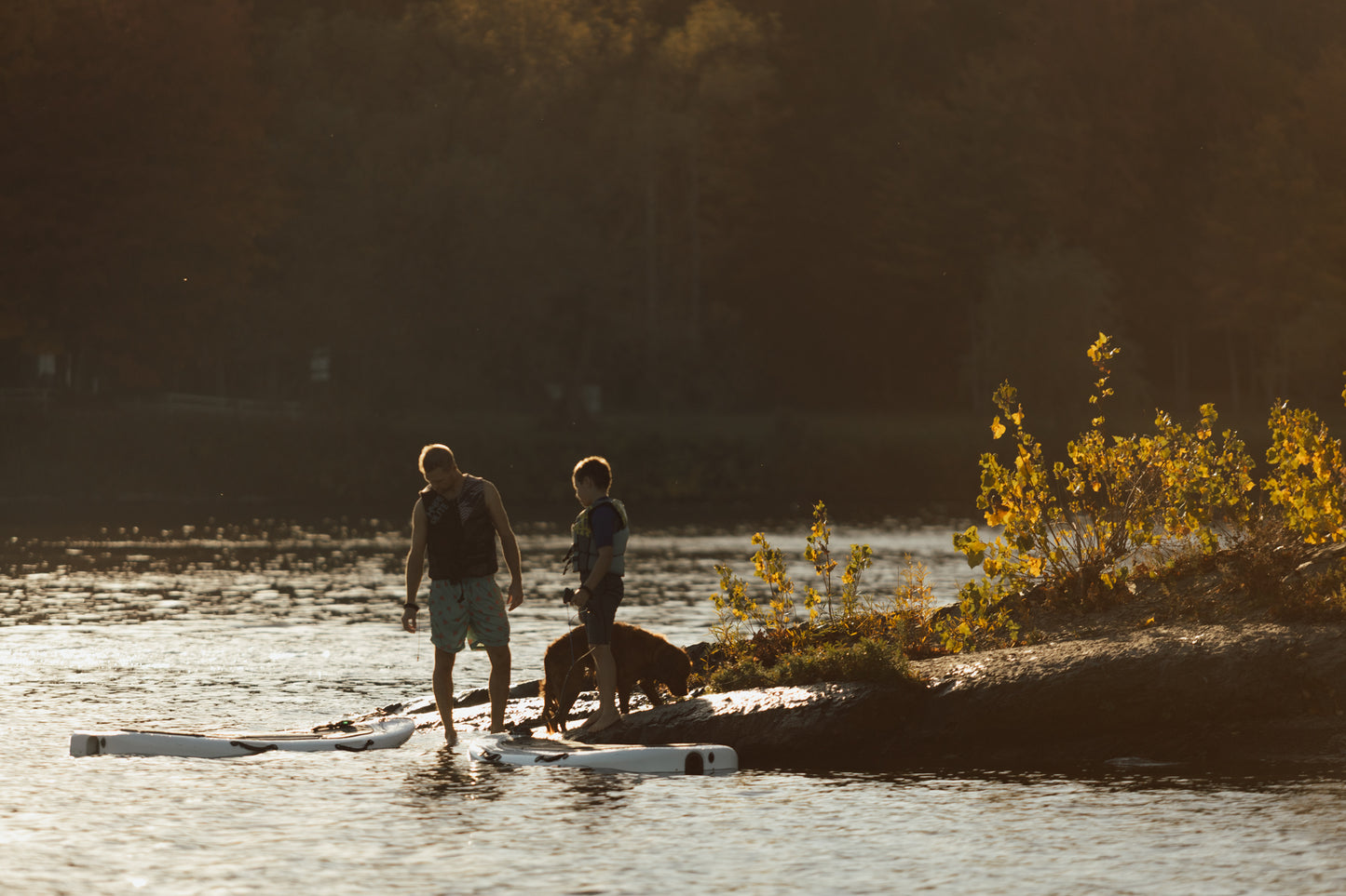 EZ Series: The Perfect Electric Surfboard for Your Cottage