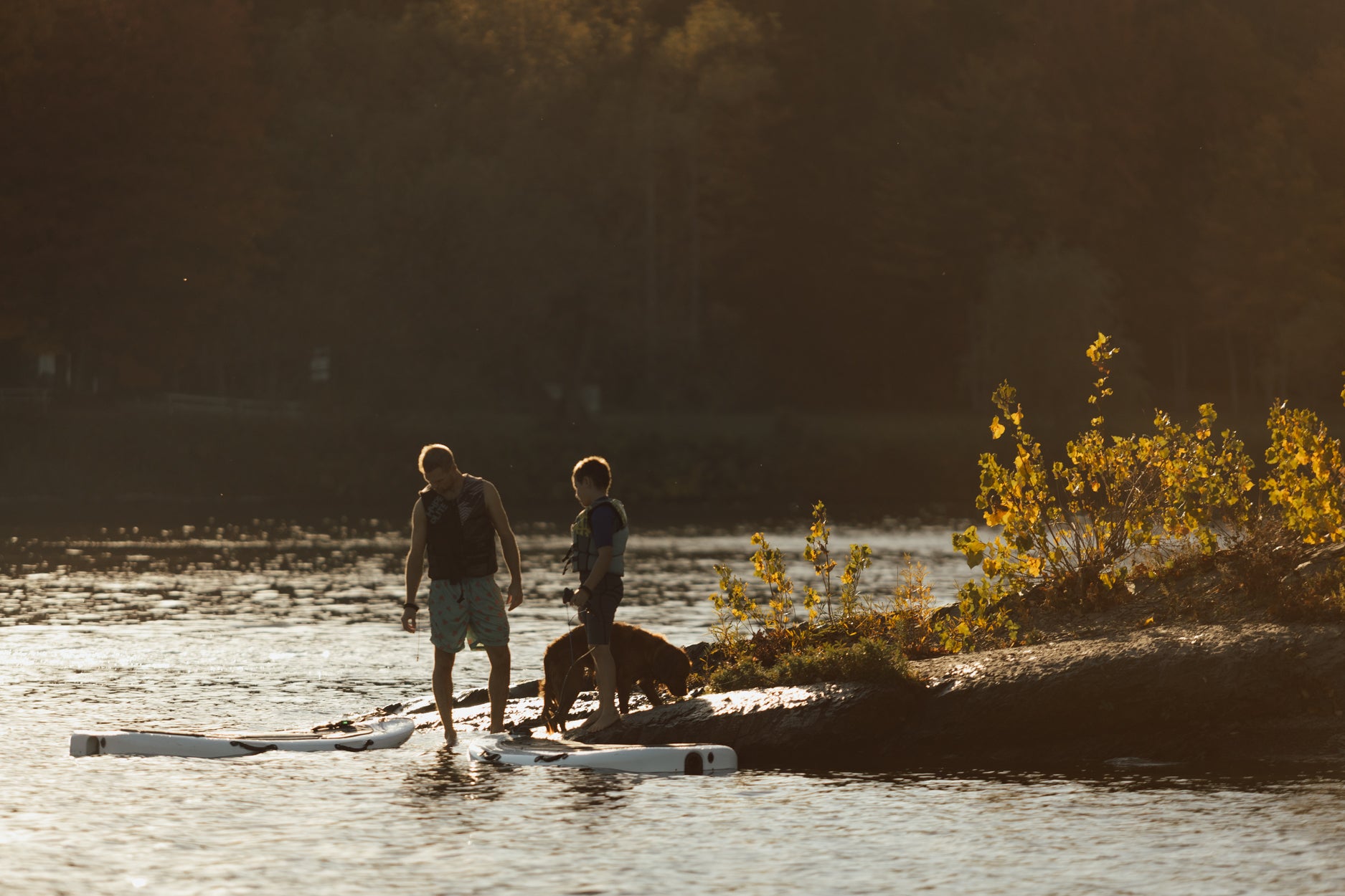 EZY Series: The Perfect Electric Surfboard for Your Cottage